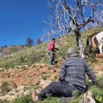 aydinda gunluk 8 bin tlye at ile cift surecek isci bulunamiyor 71352e998b4c