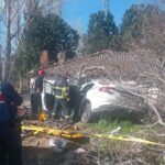 aydinda otomobil agaclara carpti 2 olu 1 yarali 3fa144aa7f68