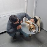 beyin kemigine kadar kanser yayilan kopek tedavi edildi 4adf3261dc54