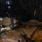 Bingöl’de sağanak su baskınlarına neden oldu; ahırda mahsur kalan keçiler kurtarıldı 8 bingolde saganak su baskinlarina neden oldu ahirda mahsur kalan keciler kurtarildi 9c7b472afd2b