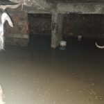 Bingöl’de sağanak su baskınlarına neden oldu; ahırda mahsur kalan keçiler kurtarıldı 1 bingolde saganak su baskinlarina neden oldu ahirda mahsur kalan keciler kurtarildi 9e69f6e855e9