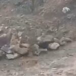 bitliste cig ve heyelan ulasimi aksatti d4380db82154