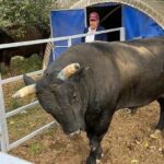 boga sahibini hastanelik etti 62ef20e145ab