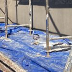 boya yaparken belindeki halat kopunca 3uncu kattan dusup yaralandi 21f9a45ac576