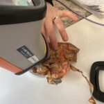 Cami duvarından Mekke'nin şehir planı çıktı 7 cami duvarindan mekkenin sehir plani cikti 0c66f8c41945