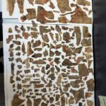 Cami duvarından Mekke'nin şehir planı çıktı 8 cami duvarindan mekkenin sehir plani cikti 8ef3dc98dabc