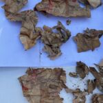 Cami duvarından Mekke'nin şehir planı çıktı 6 cami duvarindan mekkenin sehir plani cikti d50cb3b9d6eb