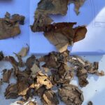 Cami duvarından Mekke'nin şehir planı çıktı 5 cami duvarindan mekkenin sehir plani cikti e96f63334cb8