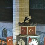 can ve canan leylek 2nci yillarinda da iznikteki yuvalarinda bulustu 8910a769ee90