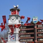 can ve canan leylek 2nci yillarinda da iznikteki yuvalarinda bulustu b6d79ed2f059