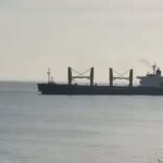 canakkale bogazinda makine arizasi yapan dokme yuk gemisi karaya oturdu 66199b427da0