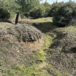 canakkale savaslarinda yasanan kahramanliklarin verilen emirlerle gunumuze ulasmasi saglanmis 9b7ff7fca2d8