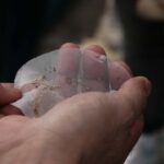 datca bozburun ockbde 17 istasyonun tamaminda mikroplastik tespit edildi 06b75afde96a