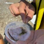 datca bozburun ockbde 17 istasyonun tamaminda mikroplastik tespit edildi a104208727f4