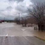 diyarbakirda saganak ambar cayi tasti yol ve tarlalar sular altinda kaldi 5f2bee0537aa