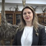 Doldurulmuş hayvan koleksiyonu, müzede korunuyor 11 doldurulmus hayvan koleksiyonu muzede korunuyor 40d33c09694c