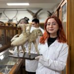 Doldurulmuş hayvan koleksiyonu, müzede korunuyor 5 doldurulmus hayvan koleksiyonu muzede korunuyor 909709a9479b