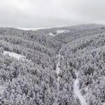 dumanli tabiat parkinda tablo gibi kis goruntusu 9c26b25069e4