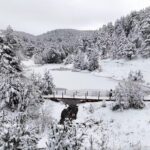 dumanli tabiat parkinda tablo gibi kis goruntusu 9f8bc30feee2