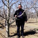 gecen yil zirai don nedeniyle verim alinamayan elmada 120 bin ton rekolte beklentisi 5f8604446f4a