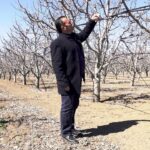 gecen yil zirai don nedeniyle verim alinamayan elmada 120 bin ton rekolte beklentisi 8823ad657561