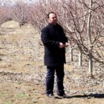 gecen yil zirai don nedeniyle verim alinamayan elmada 120 bin ton rekolte beklentisi d2e550601c9d