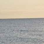 hatay sahillerinde hafta sonu yogunlugu d070479ebdeb