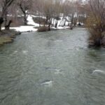 inci kefali gocunun en cok izlendigi delicayda su seviyesi yukseldi 3d7e8e66a9cc