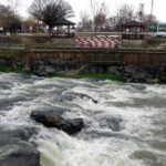 inci kefali gocunun en cok izlendigi delicayda su seviyesi yukseldi 4992cb6fb871