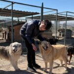 isitme engelli ogrencilerden engelli kopekler icin kampanya 1723e51c1b78