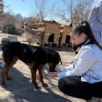 isitme engelli ogrencilerden engelli kopekler icin kampanya 6083bdaccc99