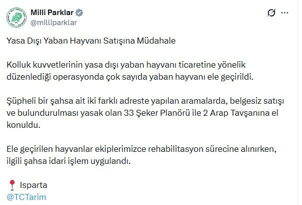 Isparta’da 33 şeker planörü ve 2 Arap tavşanı ele geçirildi