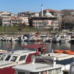 istanbul avcilarda cabbar isimli balikcil kusu barinagin maskotu oldu yaren leylek gibi o da burada ek bigiyle f6aba90b2632