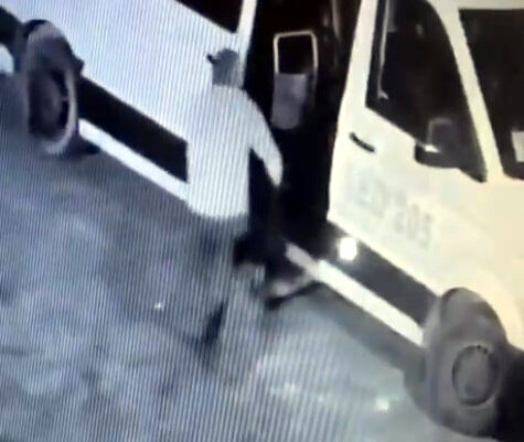 İstanbul- Avcılar’da mahallenin maskotu ‘Garip’ isimli köpeği çalan şüpheli yakalandı