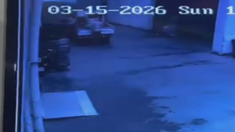 İstanbul – Avcılar’da palet hırsızlığı kamerada; 4 şüpheli yakalandı