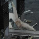 istanbul gungorende spor salonunu su basti sigorta 105 bin lira odedi zararimiz daha buyuk a7437d96e780