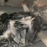 istanbul istanbulda silah ticareti yapan 1 supheli yakalandi ffa48951e837