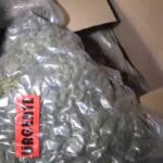 istanbul kucukcekmecede operasyonda 527 kilo uyusturucu ele gecirildi 7 supheli tutuklandi c985bb136a65