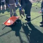 istanbul sultangazide futbol sahasinda pitbullar birbirine saldirdi c3c5458e4cc5