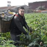 izmir menemende enginar hasadi basladi 8e86c9860db8