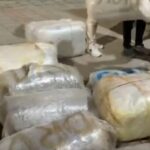 izmirde 13 ton uyusturucu madde ele gecirildi 24cb025133f6