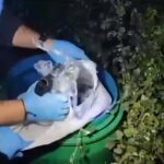 izmirde 149 ruhsatsiz tabanca bulundu 2 gozalti 2f58f8f0253b