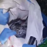 izmirde 149 ruhsatsiz tabanca bulundu 2 gozalti 34035d47b551