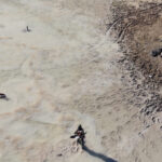 Kaçak avcılar doğa koruma ekiplerine ateş açtı, o anlar dron kamerasında 2 kacak avcilar doga koruma ekiplerine ates acti o anlar dron kamerasinda a7d21286cc87