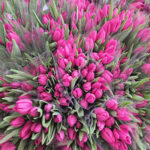 kadinlar gunune ozel suda lale uretimi 94d9b8caf2c1