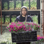 kadinlar gunune ozel suda lale uretimi 9533cf115854