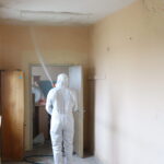 kahverengi kokarcalar kislaklardan cikmadan imha ediliyor 0fa342e02255