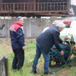 kahverengi kokarcalar kislaklardan cikmadan imha ediliyor 1dd6105c2069