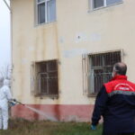 kahverengi kokarcalar kislaklardan cikmadan imha ediliyor 1eb7fb1357a9