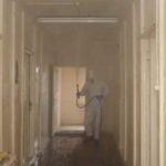 kahverengi kokarcalar kislaklardan cikmadan imha ediliyor 4762c9a02191